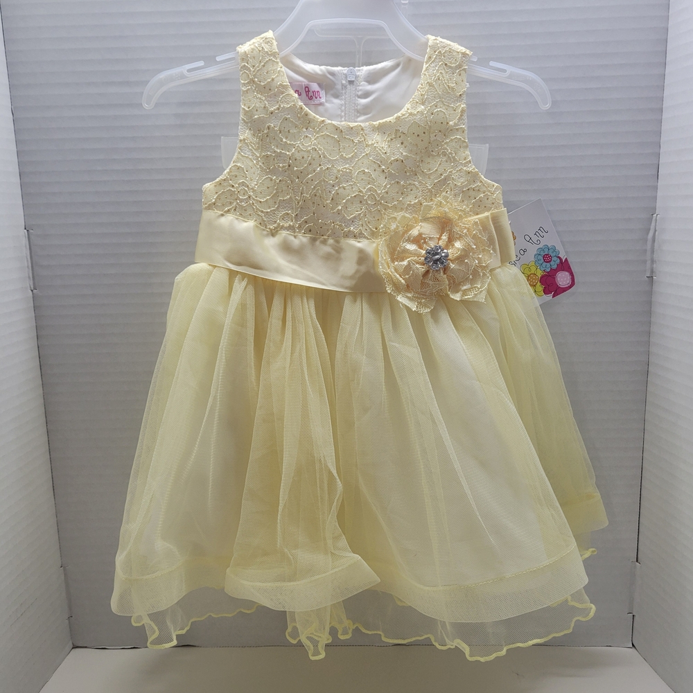 Jessica Ann 12M Yellow Lace Tulle Party Dress 2-Piece Set NWT